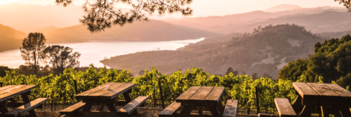 8 Days in Wine Country and San Francisco