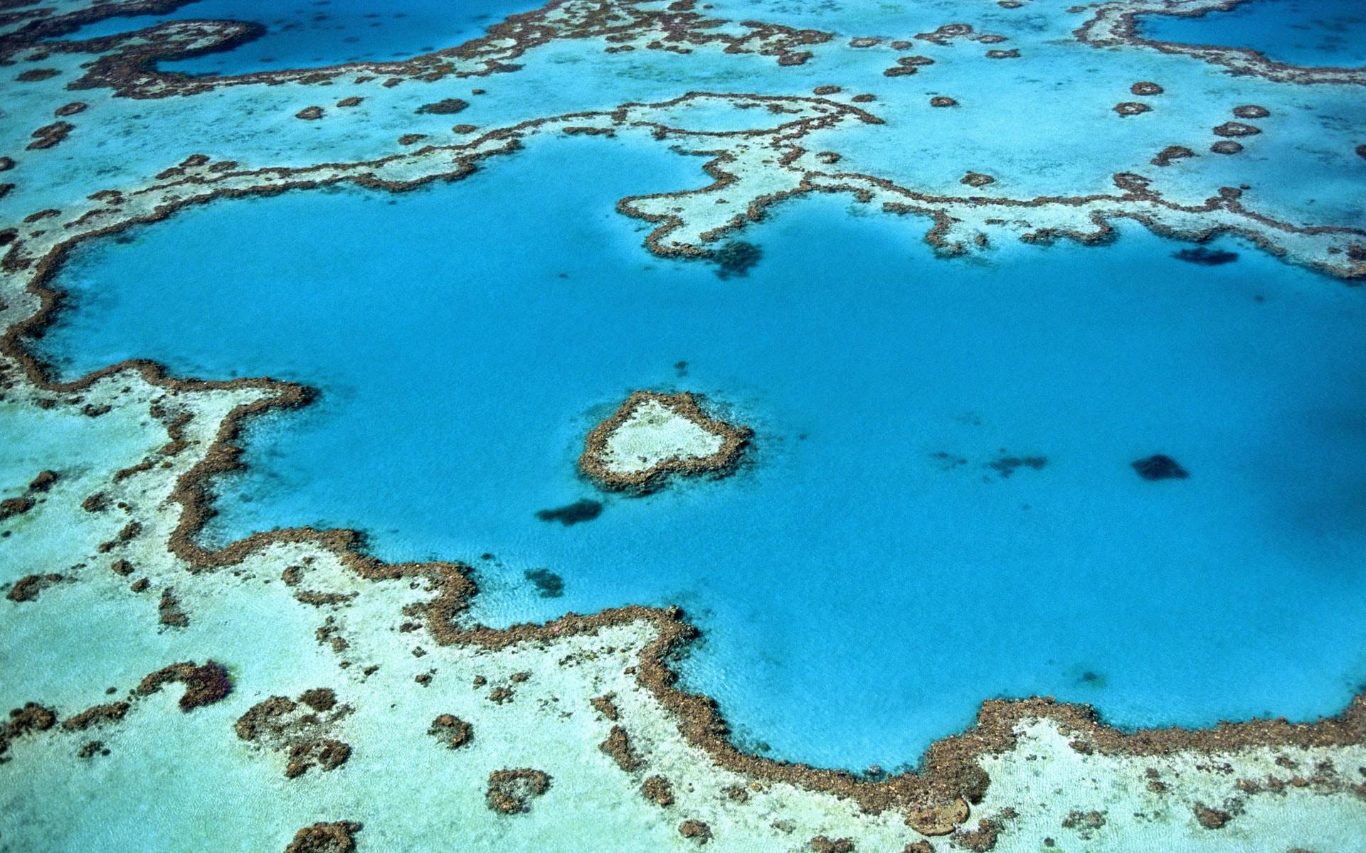Adventures to Try When Travelling to Australia - background banner